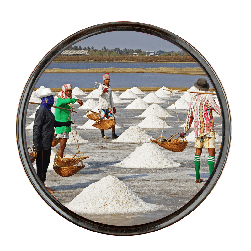 Salt